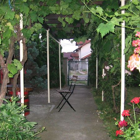 Kuca Za Odmor Jelena Apartment Kladovo Ngoại thất bức ảnh