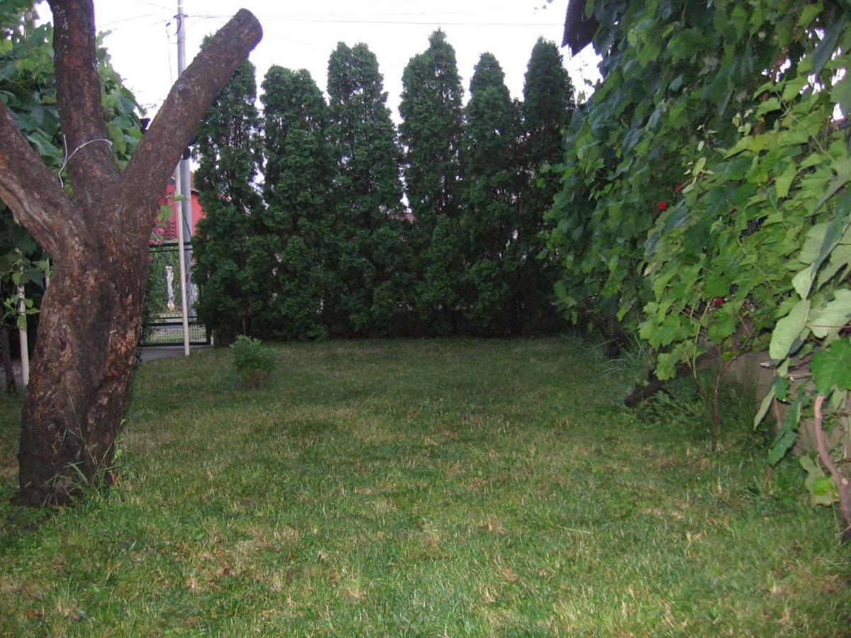 Kuca Za Odmor Jelena Apartment Kladovo Ngoại thất bức ảnh