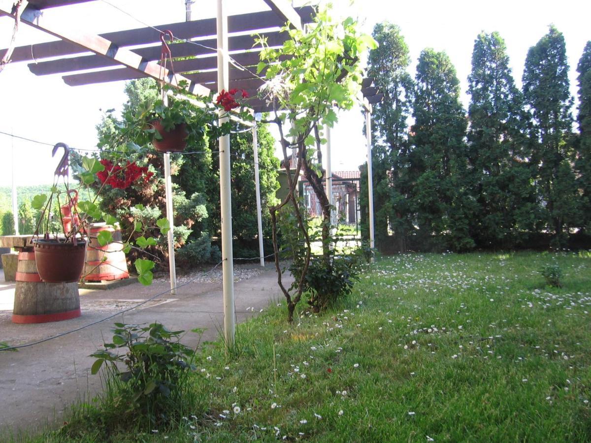 Kuca Za Odmor Jelena Apartment Kladovo Ngoại thất bức ảnh